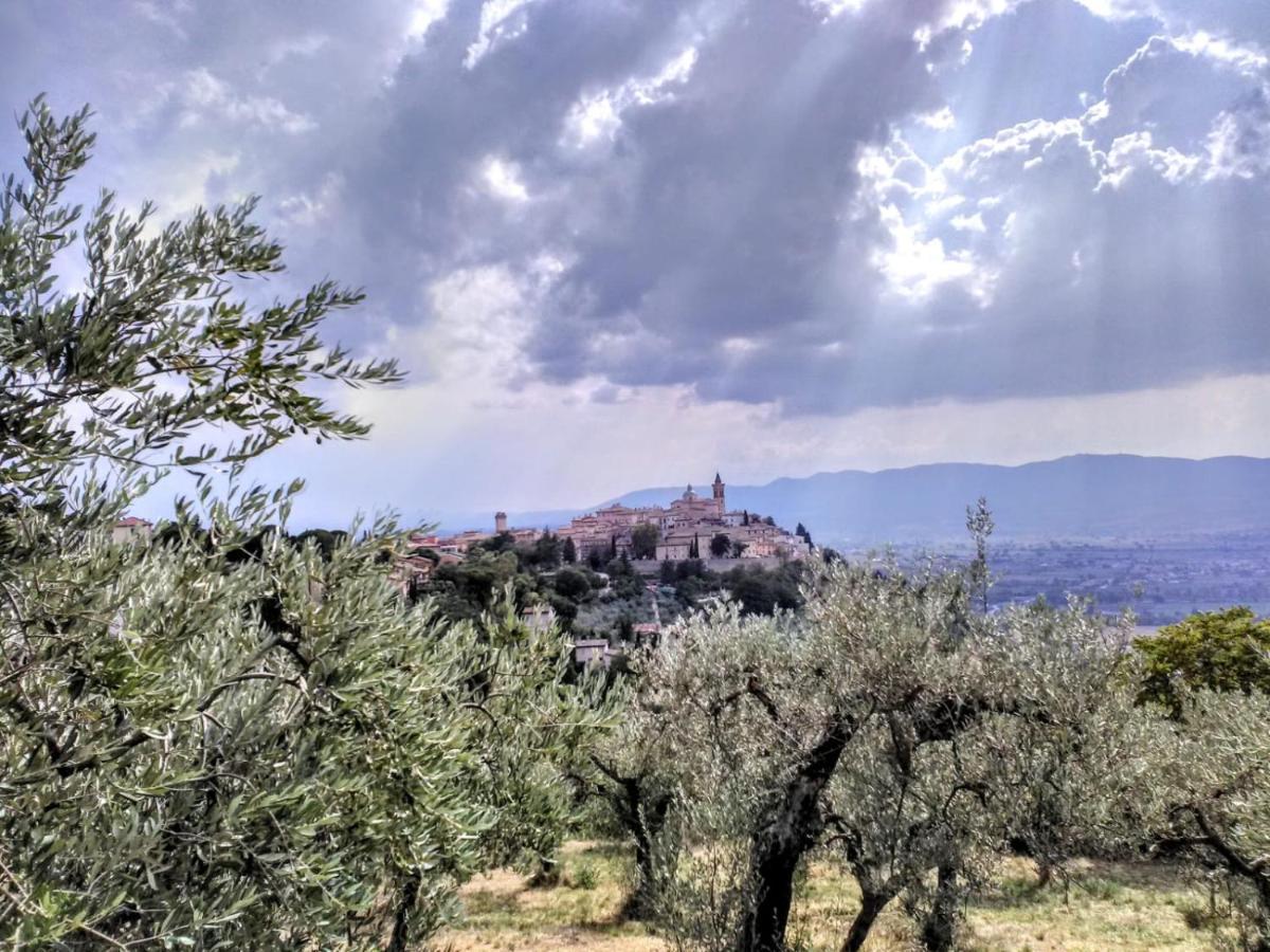 Il Panorama Di Trevi Hotel Екстериор снимка